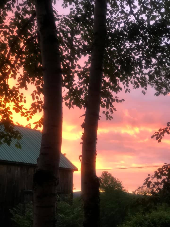 Shaker Mountain Farm in Starksboro Vermont, producer of pure organic maple syrup available to purchase online or at farm.